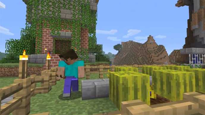Do you or have you played Minecraft?