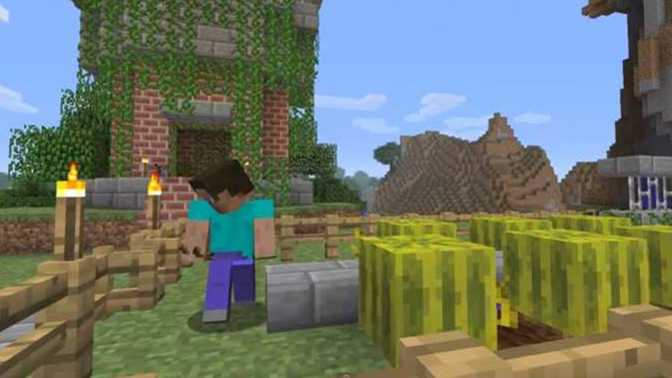 Do you or have you played Minecraft?