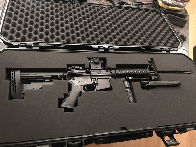 Why do liberals call AR-15s assault rifles?