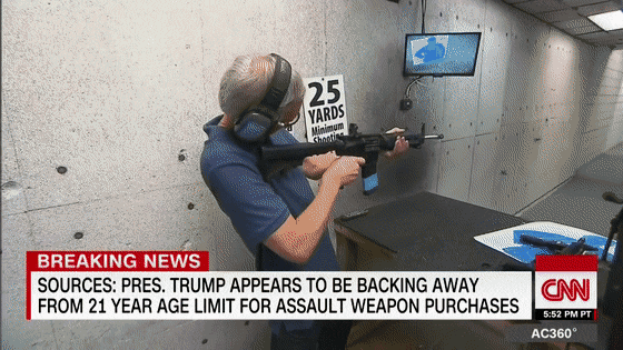 Why do liberals call AR-15s assault rifles?