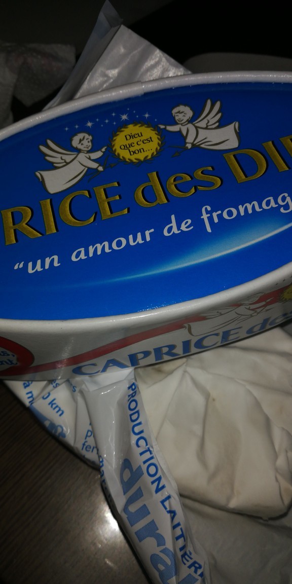 Have you ever come to France?