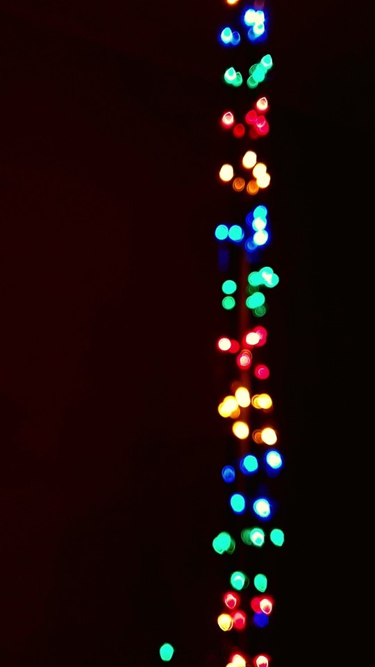 Which do you prefer: a real Christmas tree or an artificial Christmas tree?