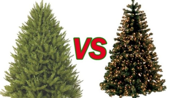 Which do you prefer: a real Christmas tree or an artificial Christmas tree?