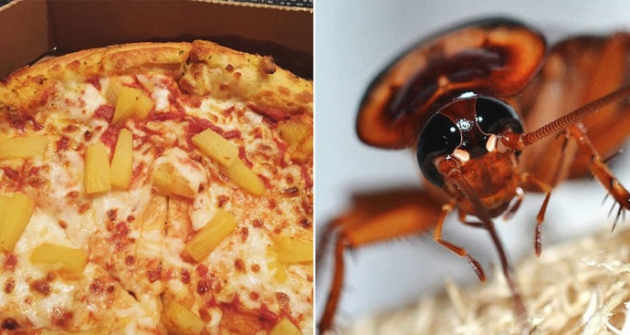 Once and for all does Pineapple belong on Pizza?