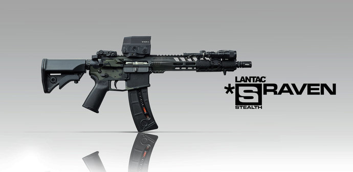 Why on earth do people need guns like this AR15?