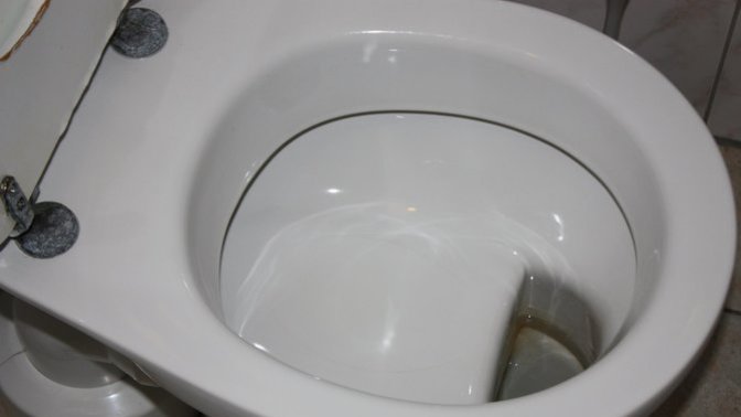 Would you use a Dutch toilet?