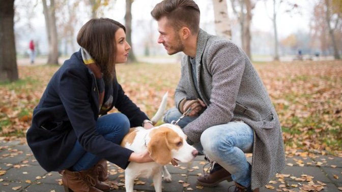 Did you ever experience a meet cute?
