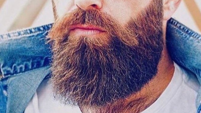 Girls, do you find big beards attractive and based on appearance only would you date a guy with a big beard?