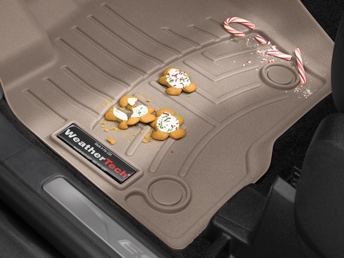Wathertech floor mats