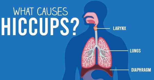 I have hiccups right now. What do I do to stop them?