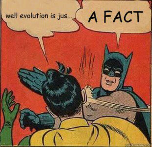 Which of these Batman slap memes do you like the most?