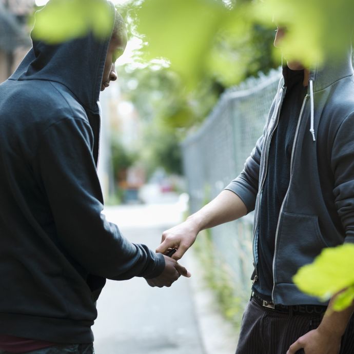 If you had to choose an illegal activity as your job, what would it be?