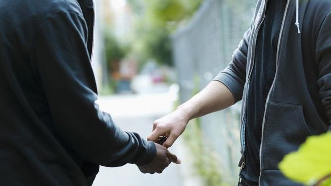 If you had to choose an illegal activity as your job, what would it be?