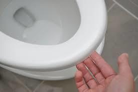 Should guys put the toilet seat down after they pee?