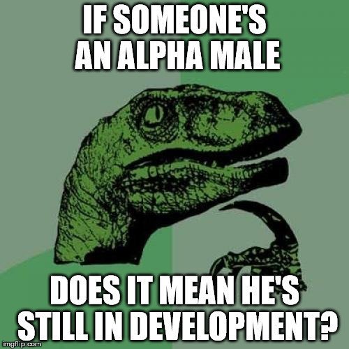Which of these actions would you say is the MOST alpha or chad thing for a MAN to do?