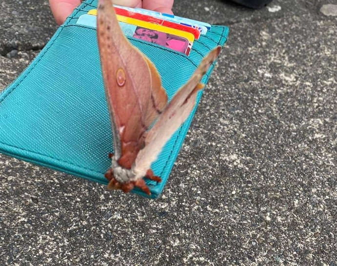 It was on the corner of the foot path