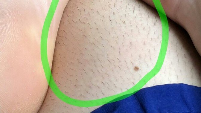 Girls, Small cut legs hair or fully shaved or fully natural?
