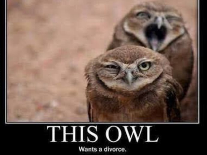 Why do women choose to be irritating/nagging, even when they could be subtle, polite, kind, thoughtful, humble, soft-spoken, & get things done by us?