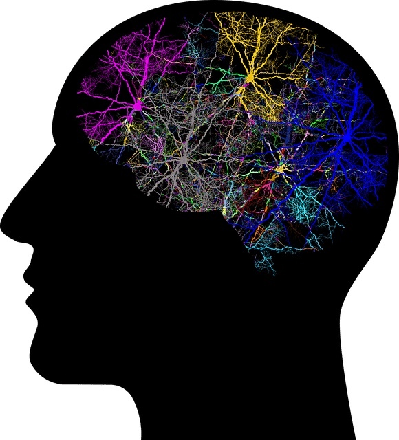 Have you ever had a repressed memory you later recovered?