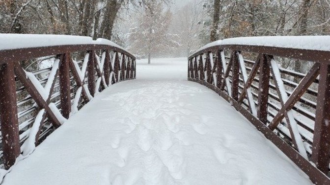 What do you think of these snow storm pictures I took this morning?