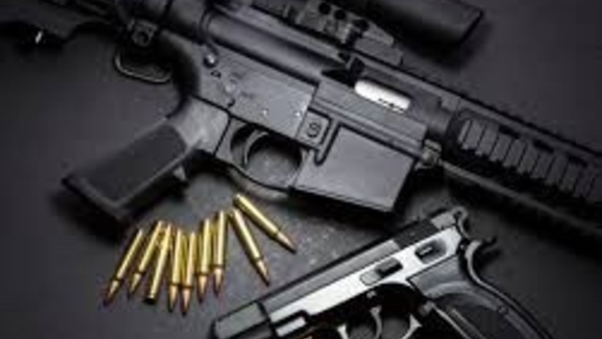 How should we reduce gun violence in the U. S?