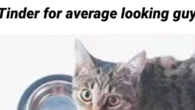 The average "right swiped" success rate for men on Tinder is 2%. For women, it's 50%. Still think dating apps aren't a waste of time?