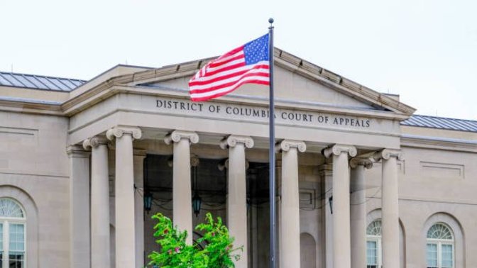Are Appeals Courts more designed to uphold convictions or discover actual truth?