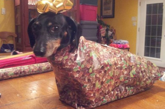 Is there a such thing as too much Christmas spirit?