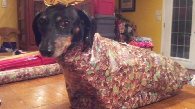 Is there a such thing as too much Christmas spirit?