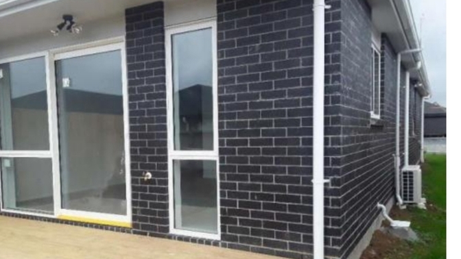 Building experts, could you please tell me what kind of bricks these would be out of these options?