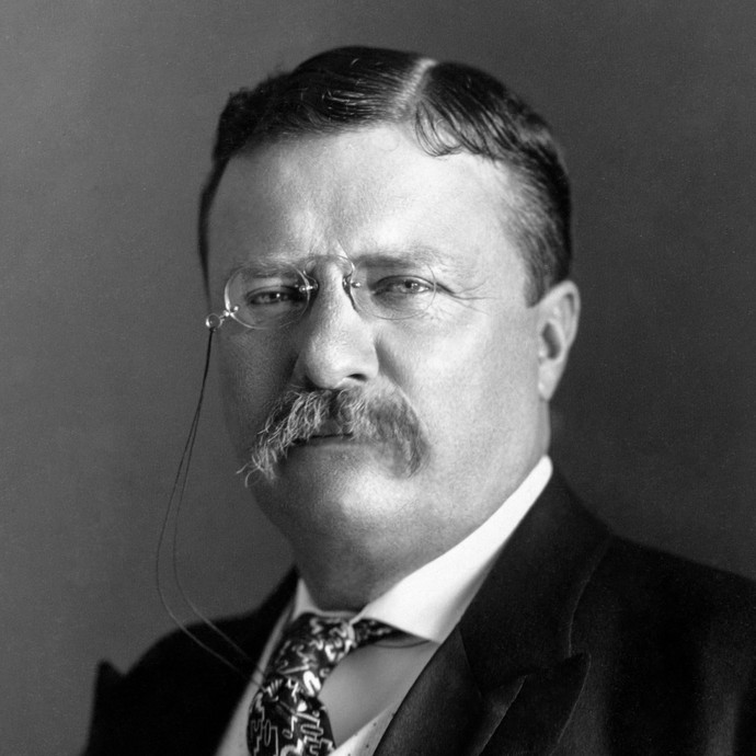 Do You Think Theodore Roosevelt Would Give Trump a Massively Ass Whooping and Show Trump What a Real Man is?