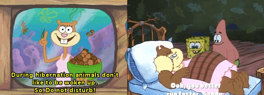 Are you grumpy if someone or something interrupts your sleep (read below)?