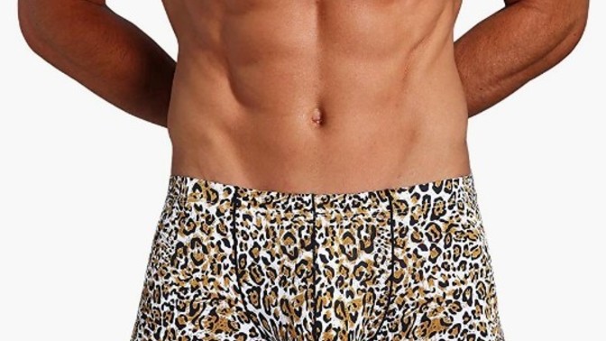 Ladies and Gentlemen, I wonder would you guys and girls wear animal print underwear?
