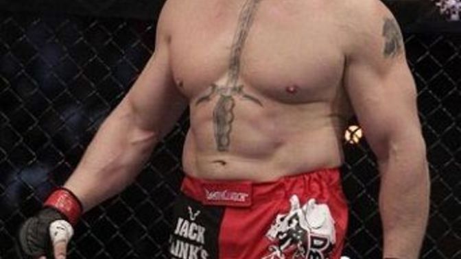 Girls, are you attracted to men with a Brock Lesnar-like body physique?