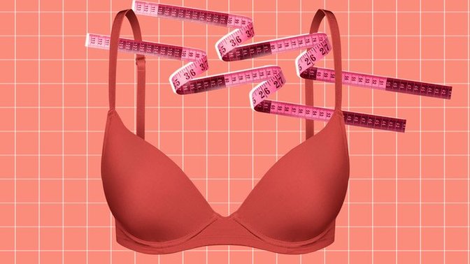 What size bra do you use? ?