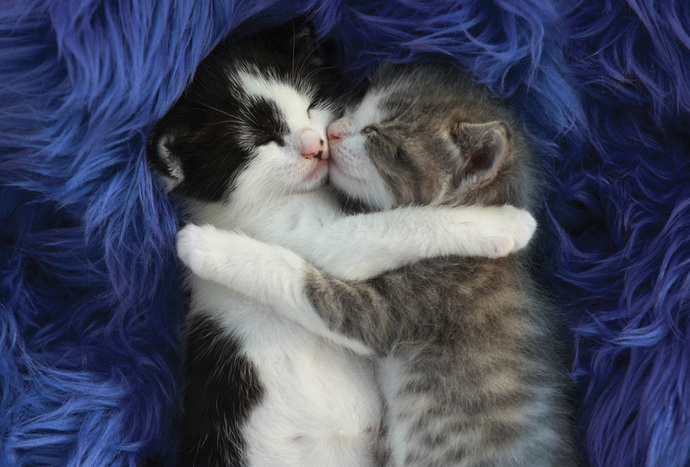 Is it ok to cuddle my cousin of the same gender?