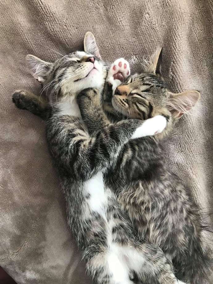 Is it ok to cuddle my cousin of the same gender?