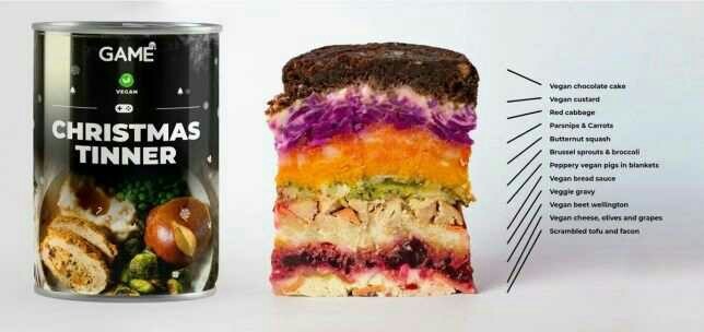 Which Christmas dinner in a can looks the nicest?