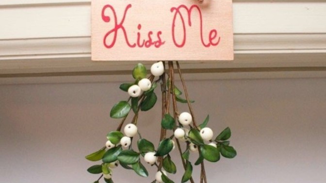 Do you guys hang mistletoe?
