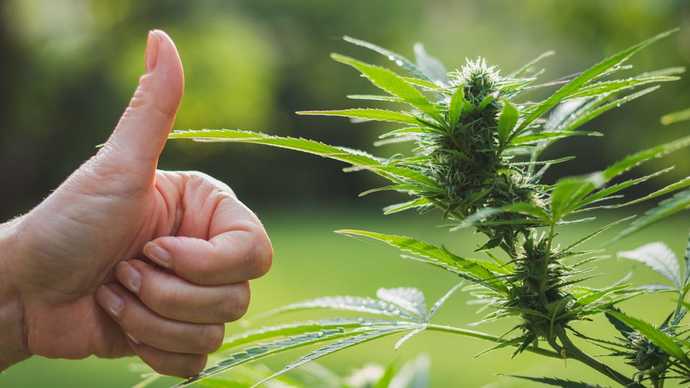 Green thumb of approval