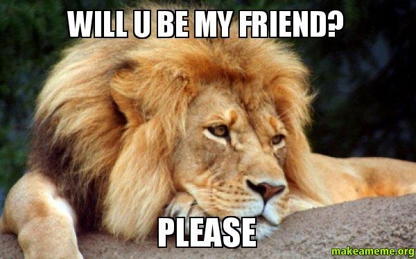 I want a friend how do I get one?
