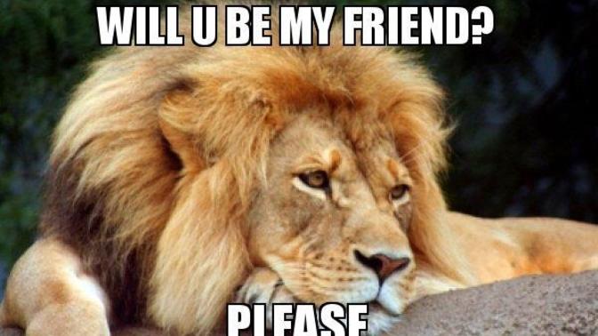 I want a friend how do I get one?