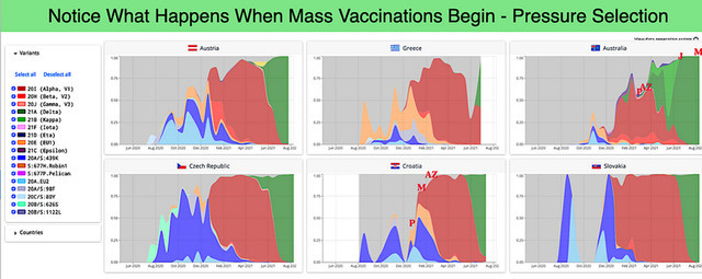 Are you anti vax. anti mask, both or neither?