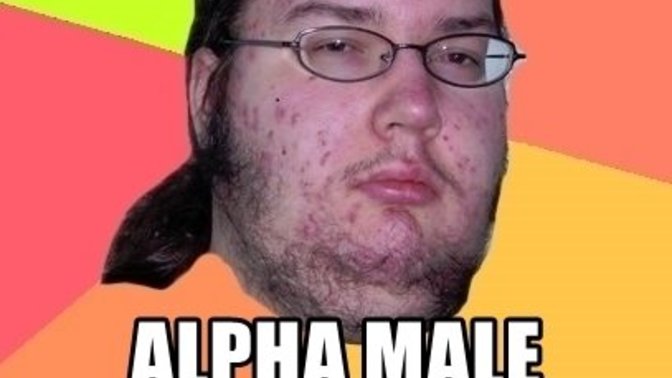 Gals: would you rather date a Beta male or Alpha male?