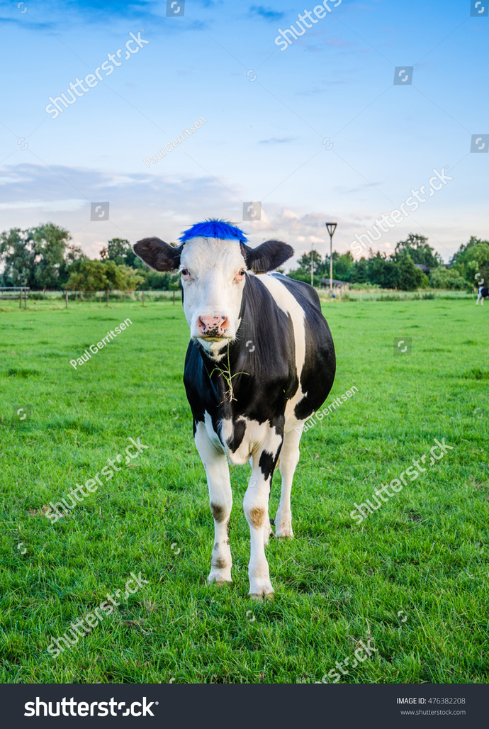 What do you think will be the newest COVID-19 variant craze for 2022 that the media will hype up?
