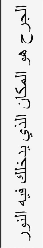 Girls, What would you think of this Arabic tattoo on a guy?