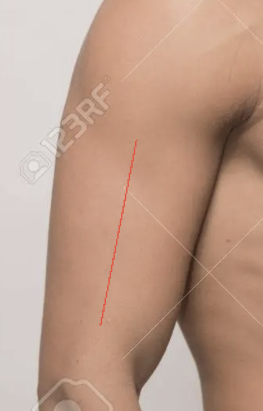 Girls, What would you think of this Arabic tattoo on a guy?