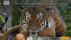 What about the dumb ass , jackass who put his hand in a Tiger cage at a zoo and police killed the Tiger, what should happen to the dumb ass?