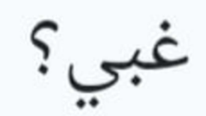 Should Arabic numerals be part of the U. S school curriculum?