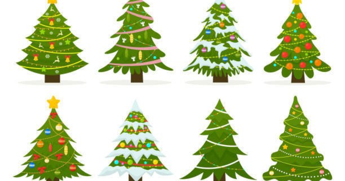 When do you take down your Christmas tree? GirlsAskGuys